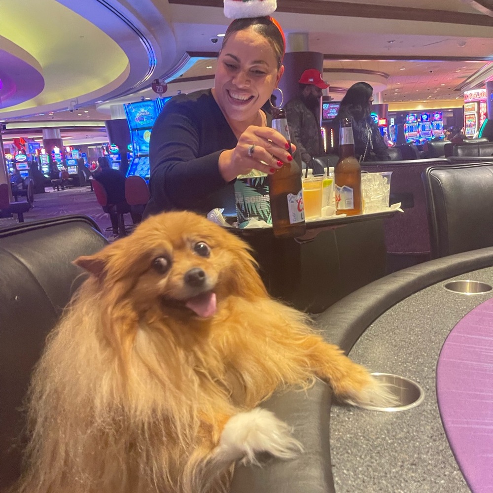 Happy New Year 🎆 2024 - Picture 6 of 14